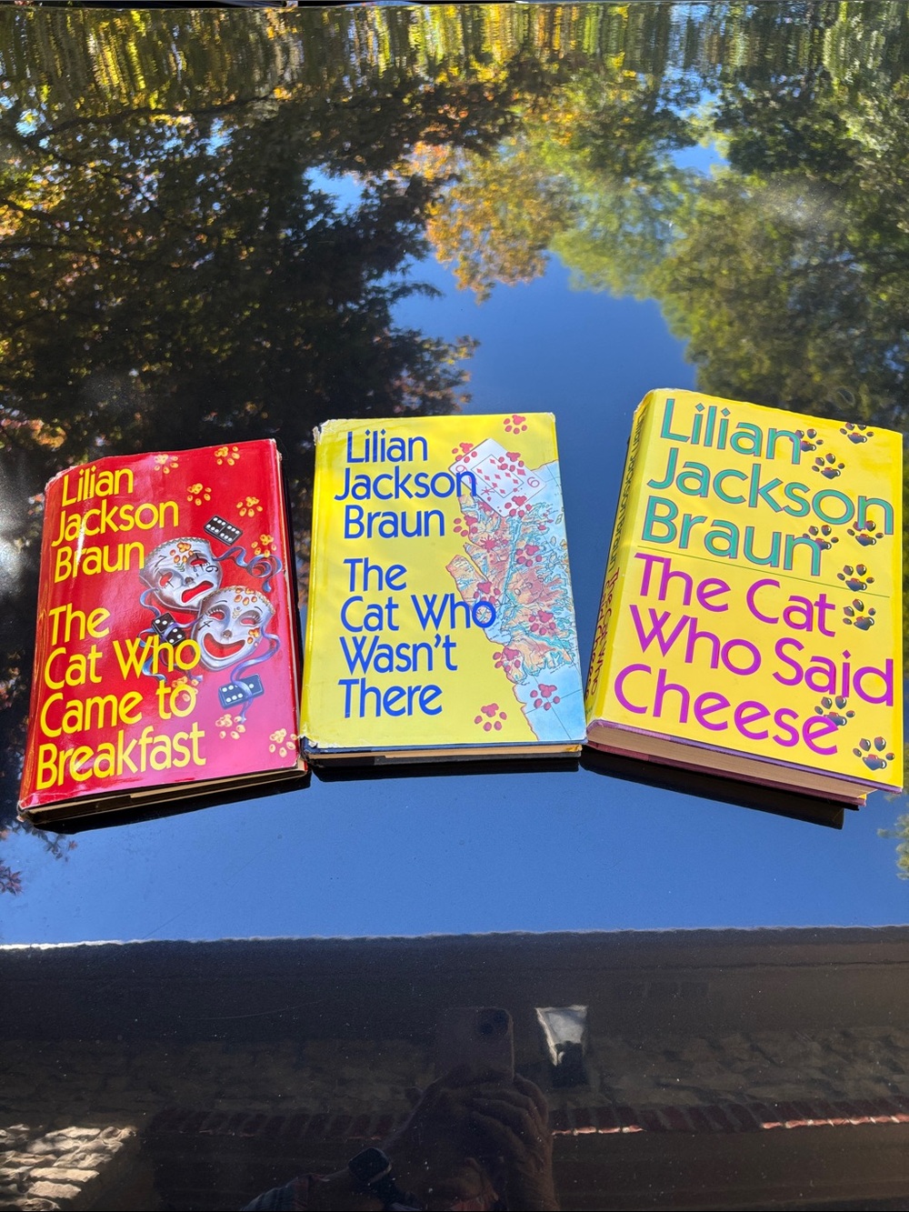 Lillian Jackson Braun, Cat story books